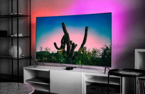 TV with Z TV LED Light Strip Multicolor Kit creating ambient lighting on wall, showing a cactus on screen, living room setup.