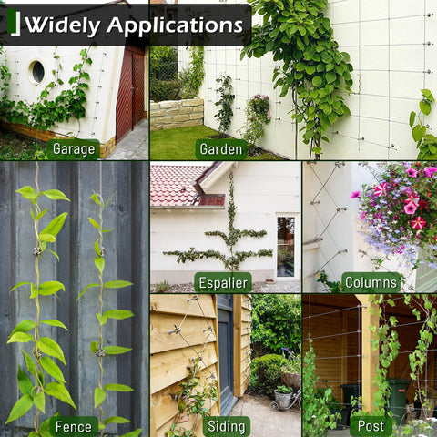 Various applications of Wire Trellis Kit For Climbing Plants, 30 Set Wall Trellis System With One Eighth Inch Stainless Steel Cable