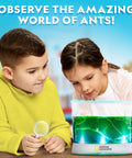 Light Up Ant Habitat Kit For Kids With Magnifiers Totally Hands On Science Toy For Curious Minds Watch Ants Build Tunnels In A Safe Gel Terrarium, kids with magnifier and gel terrarium