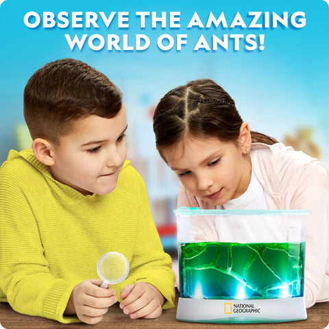 Light Up Ant Habitat Kit For Kids With Magnifiers Totally Hands On Science Toy For Curious Minds Watch Ants Build Tunnels In A Safe Gel Terrarium, kids with magnifier and gel terrarium