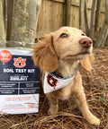 Soil Test Kit For Alabama Residents with Prepaid Mailer next to a dog in a garden setting.
