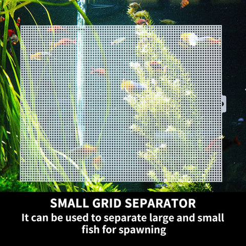 2 Pack Clear Aquarium Fish Tank Dividers With Heavy Duty Suction Cups Cuttable Plastic Mesh Grid For Breeding And Fry Segregation Dead Simple Diy Setup Smooth Sailing Layouts 10 By 13 Inches in aquarium with plants.