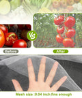 Before and after using Pro Grade Ultra Fine Garden Netting 2 Pack 10x33 Ft Mesh Pest Barrier showing improved tomato protection