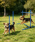 Dogs using Dog Agility Jump Set With Adjustable Hurdles And Weave Poles For Indoor Outdoor Backyard Training, height 0 to 31 inches