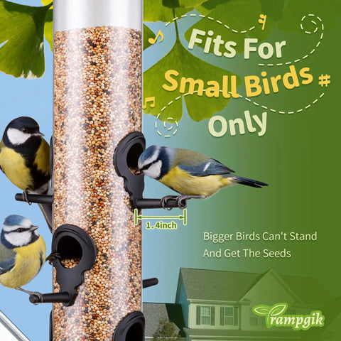 Bird feeder with small openings for small birds like blue tits, hanging outside a house; text: 'Fits for Small Birds Only'.