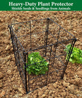 4 Pack Plant Protectors From Animals, DIY Garden Cages With 1 Inch Mesh For Vegetables, Shrubs And New Plants, Chicken Wire Barrier Keeps Rabbits And Chipmunks Out, 16 Panels, Easy Assembly shown protecting a plant