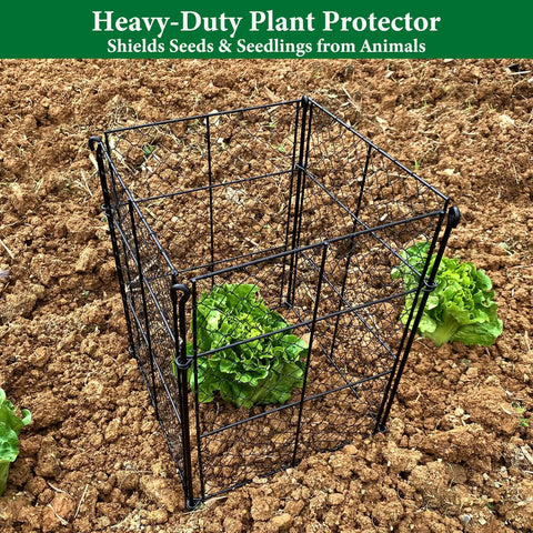 4 Pack Plant Protectors From Animals, DIY Garden Cages With 1 Inch Mesh For Vegetables, Shrubs And New Plants, Chicken Wire Barrier Keeps Rabbits And Chipmunks Out, 16 Panels, Easy Assembly shown protecting a plant