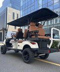 White 6 Passenger 4+2 Seater Electric Golf Cart With 48V 150Ah Lithium Battery And One Click Start showcasing the rear view.