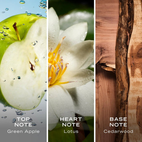 Absolute Fire Mens Eau De Toilette Spray Packing Crisp Fresh Apple Top Notes With Soothing Ocean Lotus And Deep Earthy Woody Foundation Long Lasting Cologne Game Changer Dope Gift For Him 3.3 Fl Oz - Green apple, lotus flower, and cedarwood images.