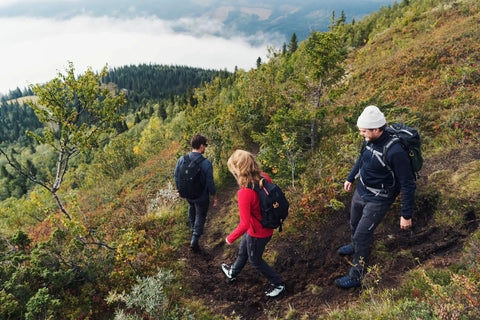 Three hikers on a mountain trail wearing outdoor gear, backpacks visible. Scene of nature and exploration in the mountains.