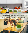 4 Pack Microgreen Sprouting Trays Kit With Humidity Domes in use on kitchen countertop with lemon bowl and plants.