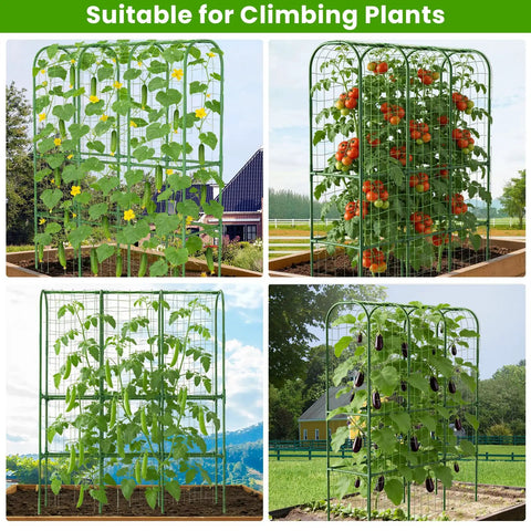 U Shaped Garden Cucumber Trellis For Raised Beds A Sturdy 62 Inch Tall Metal Plant Support For Climbing Veggies