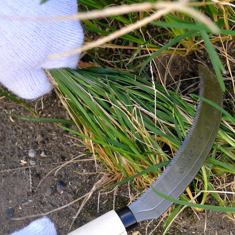 Serrated Sickle Garden Tool 6.7 Inch With Stainless Steel Blade For Weeding Harvesting Repotting And Bonsai Pruning Heavy Duty Weeding Sickle For Thick Grass And Grain Harvest In Tight Spots used to cut grass