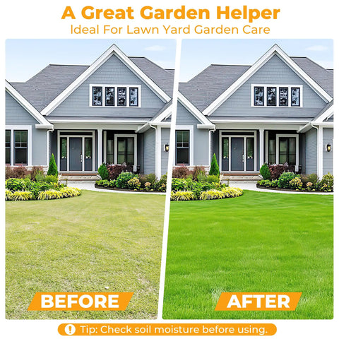 Split image showing lawn before and after using Lawn Aerator Tool With 16 Spikes And Spring Base Preassembled Manual Yard Aerator Kit.