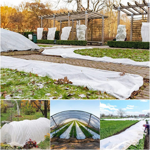 White row covers used in gardens for frost protection during fall season