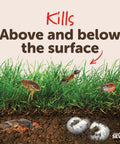 Illustration showing effectiveness of Insect Granules For Lawns And Gardens, 10 Lb Bag, Kills Ants Ticks And 100 Plus Pests On Contact