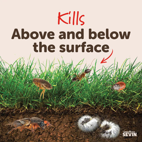 Illustration showing effectiveness of Insect Granules For Lawns And Gardens, 10 Lb Bag, Kills Ants Ticks And 100 Plus Pests On Contact