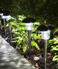 LED Solar Powered Outdoor Landscape Path Lights With Stainless Steel And Glass Lens Built Tough For Weather, illuminating garden