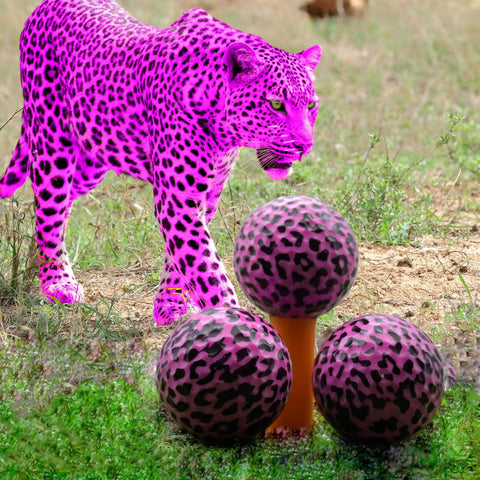 Pink Leopard Print Novelty Golf Balls Set Of 12 For Gifts And Tournaments with standout 360-degree leopard design next to a pink panther in grass.