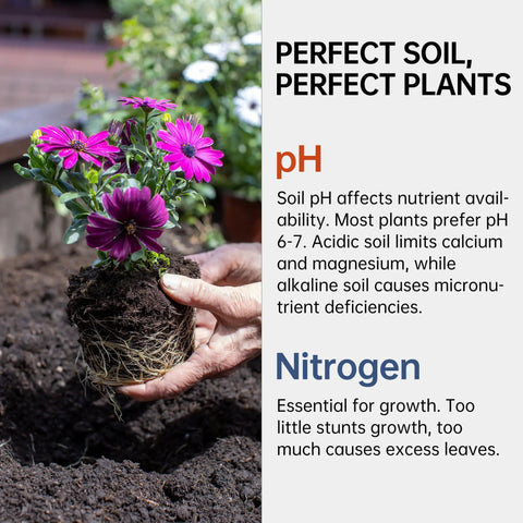 Gardener holding flowers over soil with text on soil pH and nitrogen benefits, using Soil pH And Nitrogen Test Kit 2 In 1 With Test Tubes 100 Count