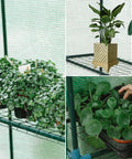Interior of Walk-In Greenhouse With 57x61x80 Inch Footprint, 3 Tiers And 10 Shelves, with plants on wire shelves