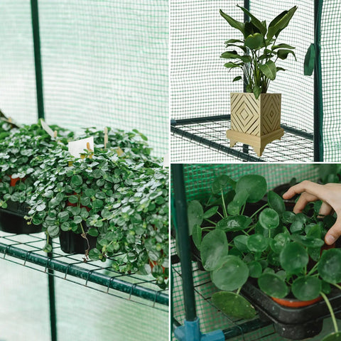 Interior of Walk-In Greenhouse With 57x61x80 Inch Footprint, 3 Tiers And 10 Shelves, with plants on wire shelves