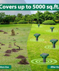 Split image of solar powered mole and gopher deterrent eight pack with ultrasonic waves, before and after use on lawn