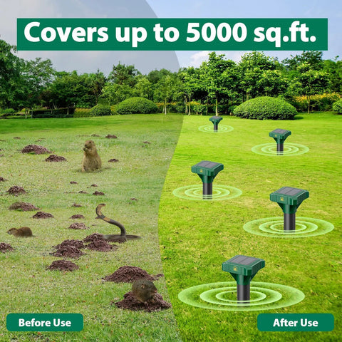 Split image of solar powered mole and gopher deterrent eight pack with ultrasonic waves, before and after use on lawn