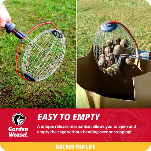 Skip The Yard Chore Hustle With This Roll Up Nut Gatherer That Snags Walnuts Apples And Lawn Clutter Straight Into Its Spreading Cage While Saving Your Back And Sweat And Ships With Comfort First Pro Grip Gloves For Quick Cleanup, showcasing an easy-to-empty design.