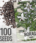Borage Seeds For Planting Blue And White Star Flowers Non GMO Heirloom And Untreated Garden Seeds For Indoors Or Outdoors Use Easy To Grow And Self Seed Pollinator Friendly 2 Packets