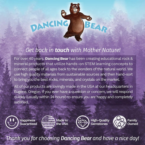 Dancing Bear info card with bear graphic, text on educational rock kits, and icons for happiness, USA-made, quality, and family-owned.