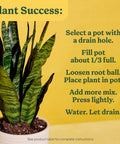 Start Your Indoor Plant Glow Up For Top Shelf Potting Mix For All Houseplants Keeping Roots Thriving For Up To Six Months With Peat Moss Coconut Coir And Perlite Boosting Water Retention And Release In A pot showcasing indoor plant care instructions.