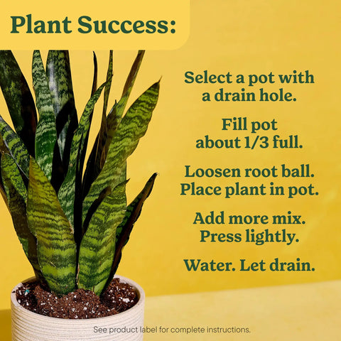 Start Your Indoor Plant Glow Up For Top Shelf Potting Mix For All Houseplants Keeping Roots Thriving For Up To Six Months With Peat Moss Coconut Coir And Perlite Boosting Water Retention And Release In A pot showcasing indoor plant care instructions.