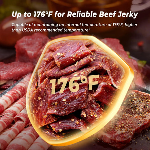 Close-up of beef jerky displaying 176°F, showcasing Heavy Duty Five Tray Electric Food Dehydrator With Digital Timer And Temp Control Up To 176 Degrees Fahrenheit.