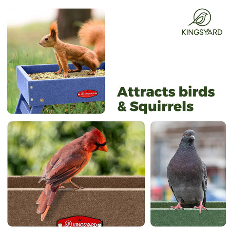 All In One Outdoor Bird Feeder Made From Recycled Plastic Platform For Wild Birds Squirrels And Chickens With A 5 Lb Capacity