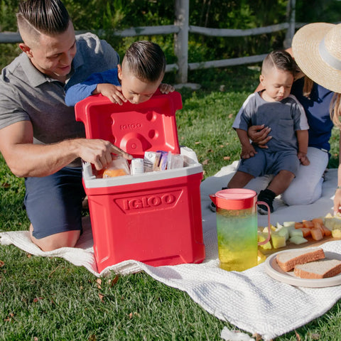 Family using Heavy Duty Hardside Lunch Cooler 12 To 16 Qt Blue Profile With Cool Riser Technology at a picnic, lid open