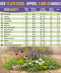 Grab And Grow All In One Medicinal Tea Herb And Flower Seeds Variety Pack For Indoor And Outdoor Gardens 30 Non GMO Heirloom Seeds variety chart with herb illustrations