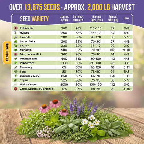 Grab And Grow All In One Medicinal Tea Herb And Flower Seeds Variety Pack For Indoor And Outdoor Gardens 30 Non GMO Heirloom Seeds variety chart with herb illustrations