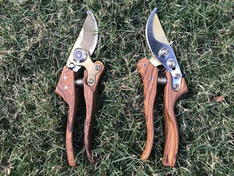 Two Heavy Duty Garden Pruning Shears With Japanese SK4 High Carbon Steel Blade for sharp cuts, wood grain handles on grass.