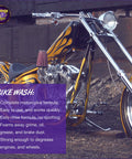 Custom motorcycle with vibrant detailing next to text about complete bike wash, featuring Motorcycle Detailing Kit 5 Piece Set.