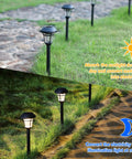 12 Pack Solar Pathway Lights Outdoor Garden Lights for Patio Yard Driveway Auto On at Night Off at Dawn Weatherproof Durable