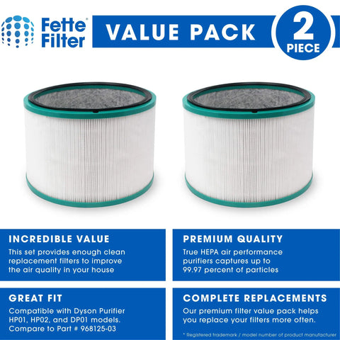 Two H13 True HEPA 360 Degree Glass Filters for HP01 HP02 DP01 Desk Air Purifiers, compatible with Pure Hot Cool Link, value pack.