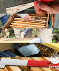 Close-up of beekeeping tools and hive components from Beekeeping Starter Kit With Smoke Tool And Full Hive Essentials.