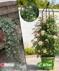 6ft Obelisk Garden Trellis for Climbing Plants Rustproof Metal Pipe with Heavy Duty Plastic Coating, before and after use
