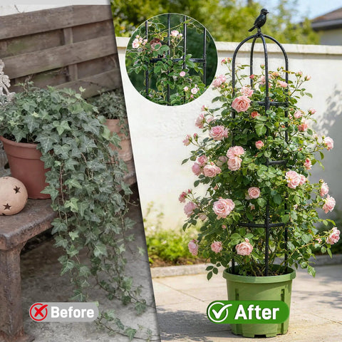 6ft Obelisk Garden Trellis for Climbing Plants Rustproof Metal Pipe with Heavy Duty Plastic Coating, before and after use