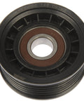 Front view of Dorman 419-5002 accessory drive belt idler pulley; black plastic with brown bearing seal.
