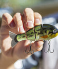 Hand holding Mike Bucca Baby Bull Gill Swimbait, 3.75 Inch, Three Quarters Ounce Ruby Gill
