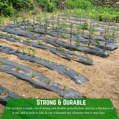 Heavy Duty 4 Mil Black Plastic Sheeting Weed Barrier For Outdoor Gardens Nonwoven Weed Blocker Fabric Soil Warmer And Moisture Keeper 3 Ft By 100 Ft Roll Weed Control installed in garden.