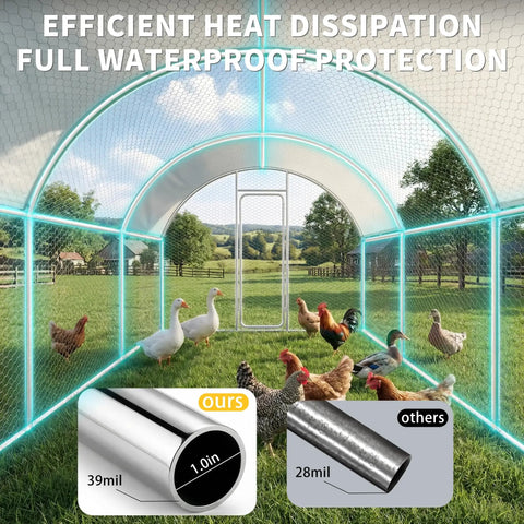 20Ft Large Walk In Metal Chicken Coop With Waterproof UV Cover Anti Predator Security Dome Roof Heavy Duty Rust Resistant Steel Frame Outdoor Poultry Cage Hen House For Yard Farm Backyard interior view with chickens.
