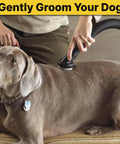 Dog Grooming Tool With Soft Bristles For Gentle Fur Care And Vacuuming, 1.25 Inch Diameter in use on a dog's back